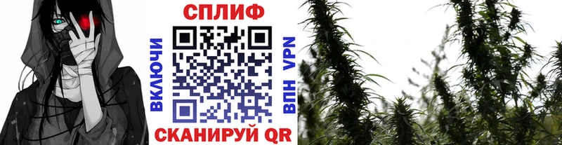 Марихуана гибрид  Димитровград 